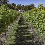 L'oree Des Vignes Apartman Saint-Romain-la-Virvee