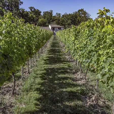 L'oree Des Vignes 公寓 Saint-Romain-la-Virvee